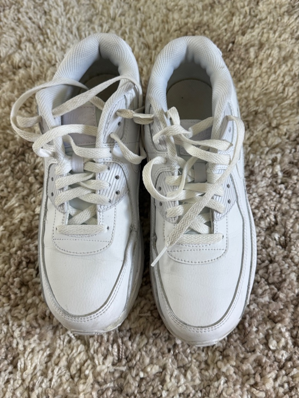 Nike Air Max White Leather Low-Top Sneakers